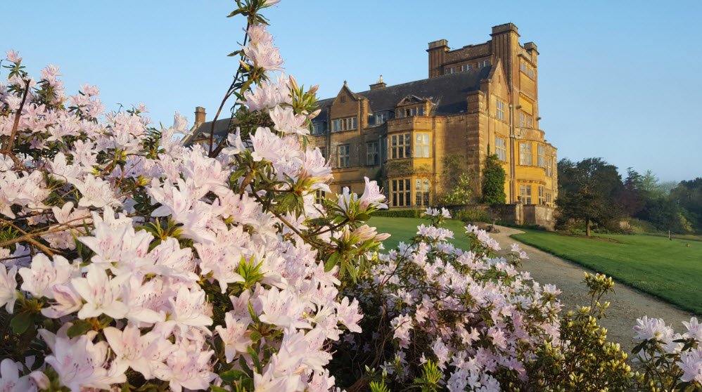 Minterne House and Gardens , , United Kingdom